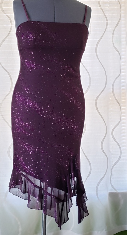 🥂Shimmering Plum Dress